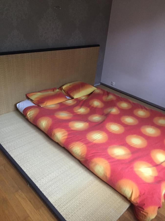 Chambre Double Futon Et Chambre Classique Au Coeur Du Vercors Saint-Agnan-en-Vercors エクステリア 写真